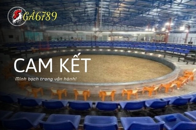 Cam kết minh bạch trong vận hành GA6789