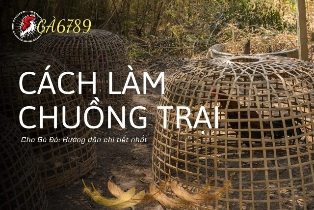Hướng Dẫn Chi Tiết Cách Làm Chuồng Trại Cho Gà Đá