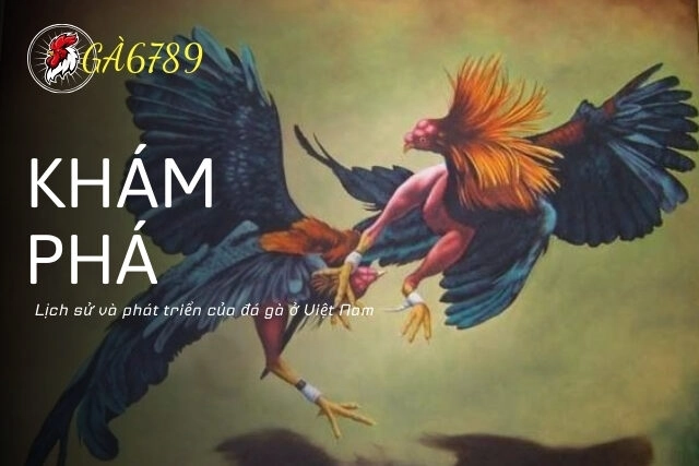 Khám phá lịch sử và phát triển của đá gà ở Việt Nam