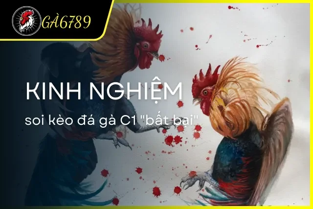 Kinh nghiệm từ cao thủ để soi kèo C1 trăm trận trăm thắng