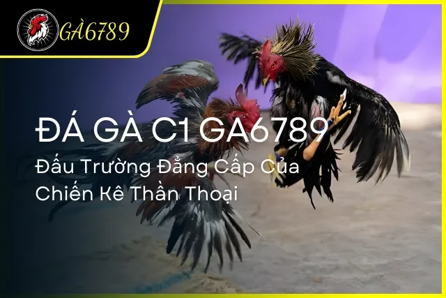 Đá Gà C1
