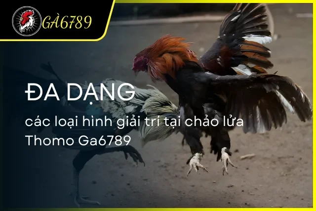 Thomo tại Ga6789 đầy đủ các loại hình giải trí