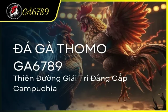 Đá Gà Thomo