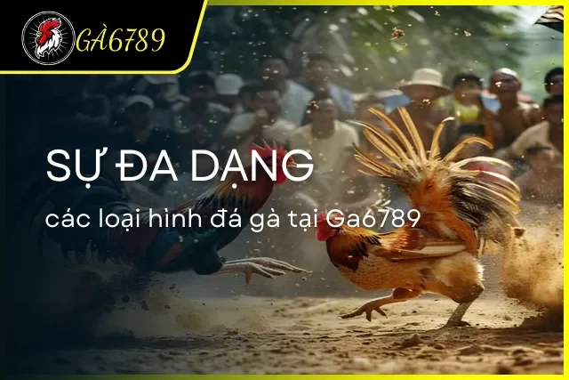 Sự đa dạng các loại hình đá gà đang có mặt tại Ga6789