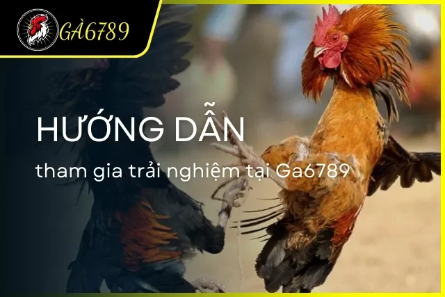 Quy trình các bước đơn giản để tham gia chơi đá gà tại nhà cái