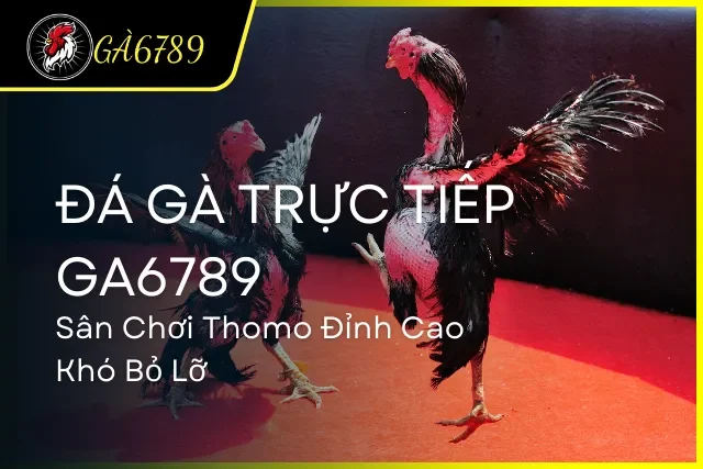 Đá Gà Trực Tiếp