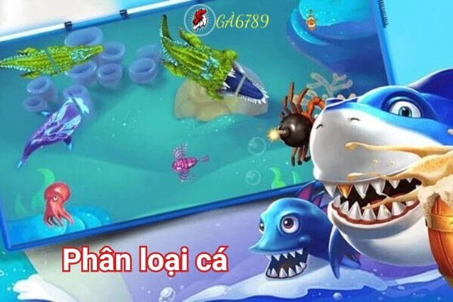 Phân loại cá